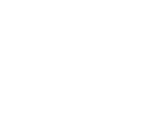 SBSO LockUp Reverse 300x256