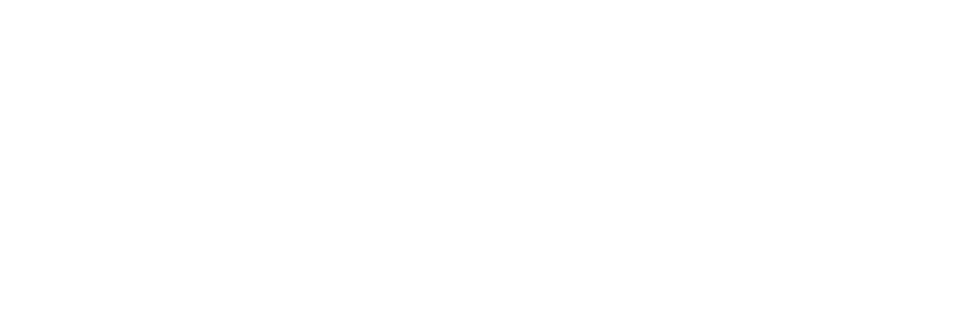Viewrail Logo White