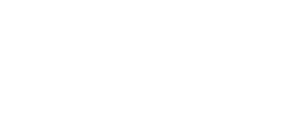 LaVine White Logo