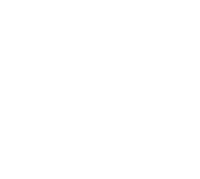 ND Monogram Reverse